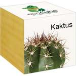 Feel Green ecocube "eksotika" - kaktus