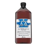 Davines Natural Tech Rebalancing Cleansing Treatment čistilni balzam za hitro mastne lase 1000 ml
