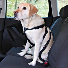 Trixie varnostni pas za v avto