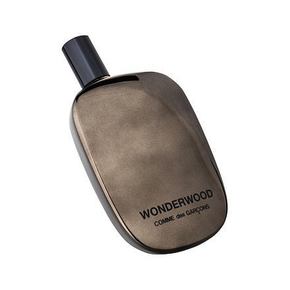 COMME des GARCONS Wonderwood parfumska voda 100 ml za moške