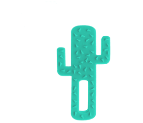 WEBHIDDENBRAND Minikoioi grizalo Cactus