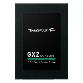 TeamGroup GX2 SSD 256GB