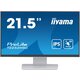 Iiyama ProLite T2252MSC-W2 monitor, IPS, 21.5", 16:9, 1920x1080, 100Hz, HDMI, Display port, USB, Touchscreen