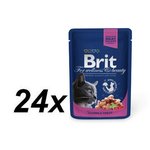 Brit vrečke Premium Cat, losos in postrv v omaki, 24 x 100g