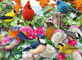 WEBHIDDENBRAND Ravensburger Puzzle - Ptice na vrtu 500 kosov