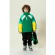 Otroška smučarska jakna Gosoaky FAMOUS DOG zelena barva - zelena. Otroška jakna iz kolekcije Gosoaky. Podložen model, izdelan iz vodoodpornega materiala.