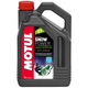 Motul 2T Snow Power