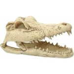 Dekoracija Repti Planet Crocodile lobanja 13,8x6,8x6,5cm