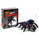 Super Tarantula RC