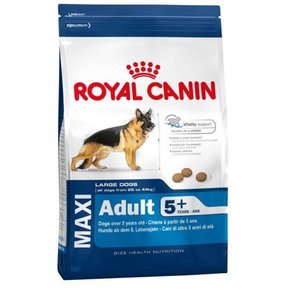 Royal Canin hrana za odrasle pse velikih pasem starejše od 5 let