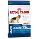Royal Canin hrana za odrasle pse velikih pasem starejše od 5 let, 15 kg