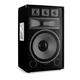 Skytec TX15, 15" 250 W RMS, PA PASIVNI ZVOČNIK