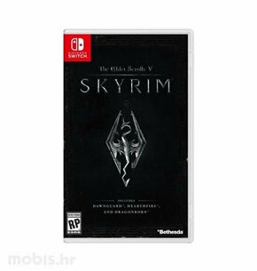 The Elder Scrolls V: Skyrim (Nintendo Switch)