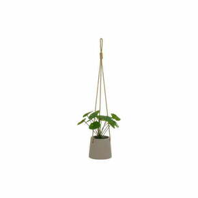 Umetna rastlina (višina 24 cm) Pilea – Casa Selección