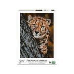 PHOTOGRAPHERS AMBASSADOR sestavljanka - gepard, 1000 kos, 70x50 cm, Photographers collection