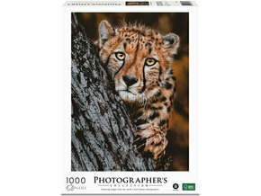 PHOTOGRAPHERS AMBASSADOR sestavljanka - gepard