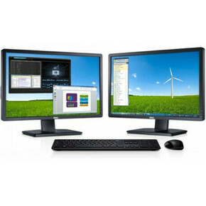 Dell P2412H monitor
