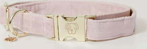 Kentucky Dogwear Pasja ovratnica velvet soft rose - M (36-52) cm