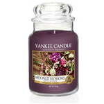 Yankee Candle Aromatične (Moonlit Blossoms) velike sveče pri mesečini (Moonlit Blossoms) 623 g