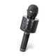 Forever zvočni sistem za karaoke BMS-300