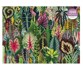 WEBHIDDENBRAND GALISON Puzzle Džungla sobnih rastlin 1000 kosov
