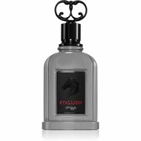 Zimaya Stallion parfumska voda za moške 100 ml
