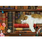 WEBHIDDENBRAND EUROGRAPHICS Cat's Nap Puzzle XL 500 kosov