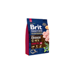 Brit Premium by Nature Senior L/XL suha hrana za pse, 3 kg