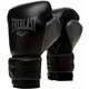 Everlast Powerlock 2R Gloves Black 10 oz