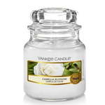 Yankee Candle Aromatična sveča Classic majhna cveta kamelije 104 g