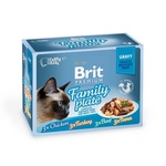 Brit Premium Cat Delicate Fillets in Gravy Family Plate - 1020 g