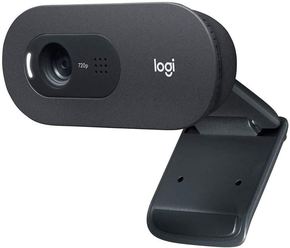 Logitech C505e spletna kamera