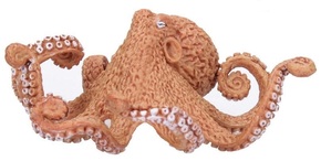 Slika hobotnice 10