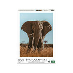 PHOTOGRAPHERS AMBASSADOR sestavljanka - slon, 1000 kos, 70x50 cm, Photographers collection
