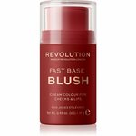 Makeup Revolution (Blush) 14 g (Odstín Spice)