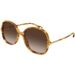 Chloe CH0383S 002 ONE SIZE (57) Havana/Rjava