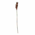 Dekoracija iz palmovih listov Bloomingville Afina, višina 93 cm