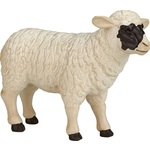 Moja ovca Hampshire