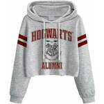 Harry Potter Kapuco Hogwarts Alumni Ladies Grey 2XL