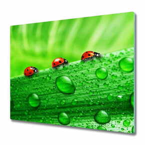 Tulup.si Steklena podloga za rezanje Ladybugs na travi 60x52 cm
