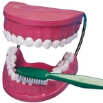 BETZOLD Set za čiščenje zob velik
