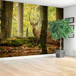 tulup.si Fototapeta Jelen forest 104x70cm Netkani freski