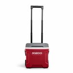 Igloo Latitude 16 Roller