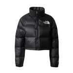 THE NORTH FACE Zimska jakna 'Nuptse' črna / srebrna 9752214