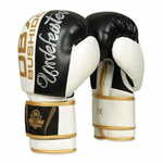 DBX BUSHIDO boksarske rokavice B-2v16 10 oz.