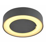 Globo LED Zunanja stropna/zidna svetilka Globo SURA 32136D
