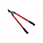 Ausonia 35075