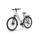Ecobike LX300, električno kolo