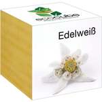 Feel Green ecocube "Planika" - Original Planika