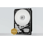 Western Digital Gold WD2005FBYZ HDD, 2TB, SATA, SATA3, 7200rpm, 128MB cache, 3.5"